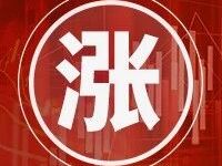 利多来袭！多晶硅涨停，期价创上市新高